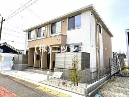 カトレアの画像