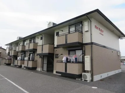 リアルコンフォートの画像