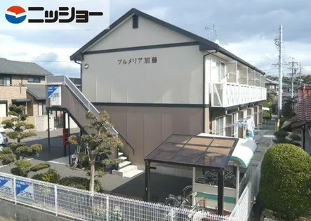 プルメリア加藤の画像