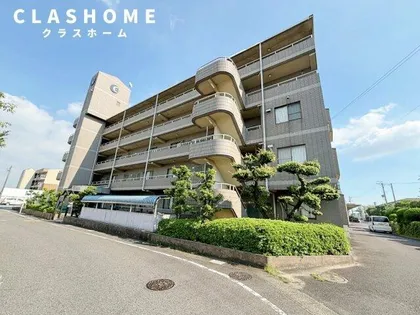 ルシードオチの画像