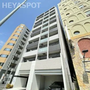 アモン リオ ブランシュの画像