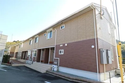 ステラ ポラリスの画像