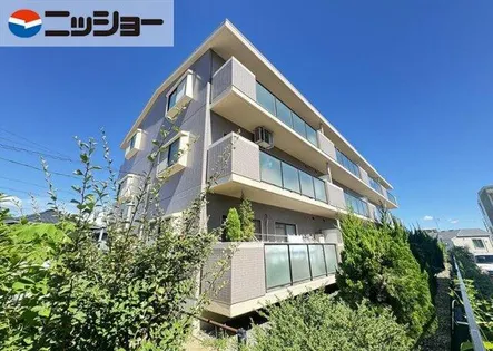 セントポーリア滝ノ水の画像