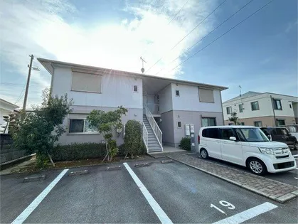 エバーグリーンCの画像