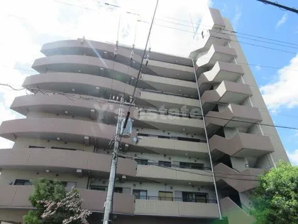 レシェンテオクノの画像