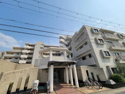 ネバーランド桂の画像