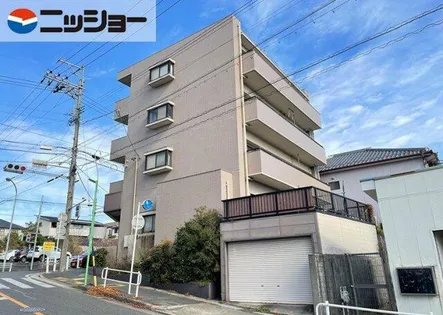 ヤマセビルの画像