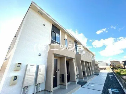 ローリエの画像