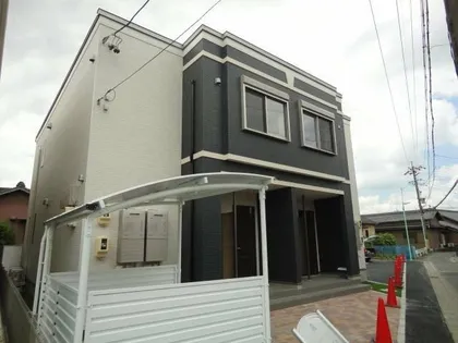 キャットテールの画像