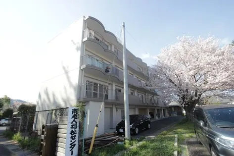 サンライズシティの画像