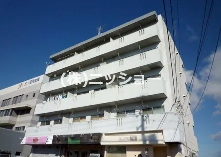 ドミール英の画像