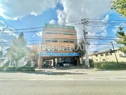 マイドリームの画像