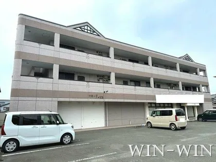 エクセレンス曙の画像