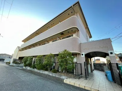 大阪府堺市中区深井水池町【マンション】の外観