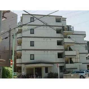 Kコート観月の画像