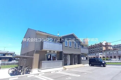 BEL PINO OGOTO IIの画像