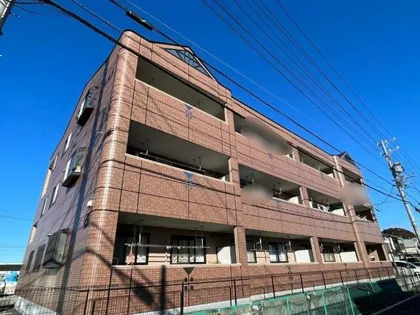 デュオプルーリオンの画像