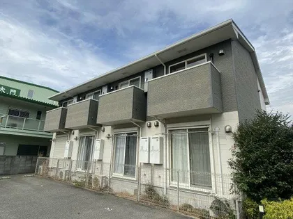 ドゥムールストレチアの画像