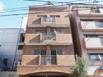 白壁セリーシアビズミームの画像