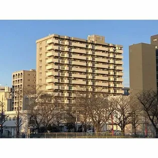 金山グランドハイツの画像