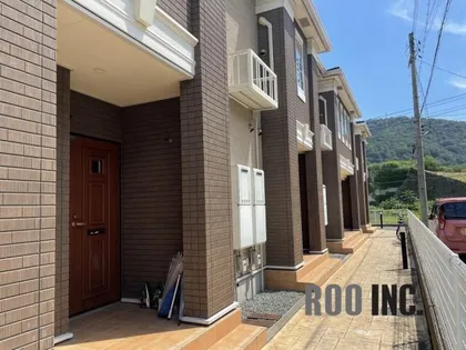 プリムローズの画像