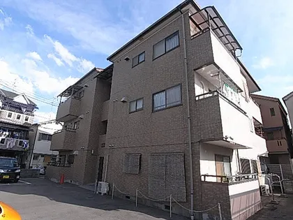 GRACE TACHIBANAの画像