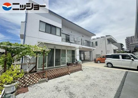 レインボーパホアの画像