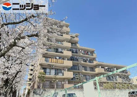 レガリス37の画像