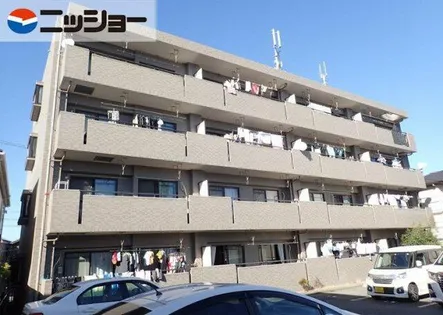 エバーグリーンの画像