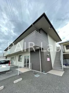 チェリーブロッサムの画像