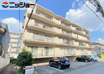 アベニューサンフラワーの画像