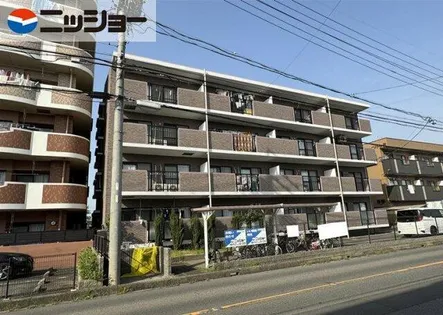 グレイシー高雄の画像