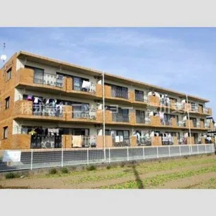 ソレアードみのるの画像