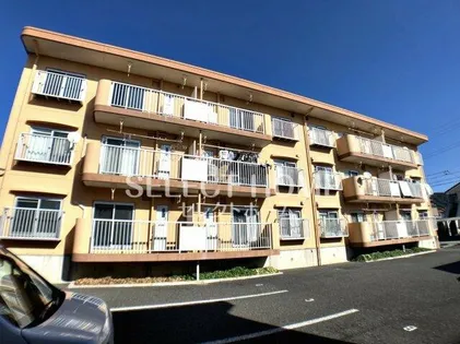 ベラージオの画像