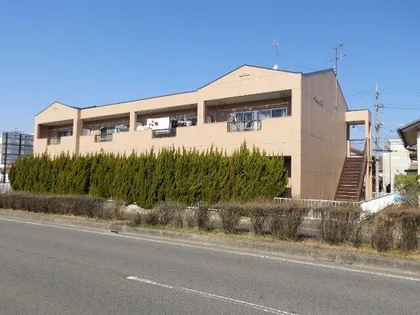 ベレックスの画像