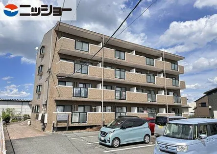 シェレンバウムの画像