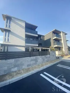 TIMBER BROOKの画像