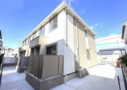 ブルーデイジーの画像