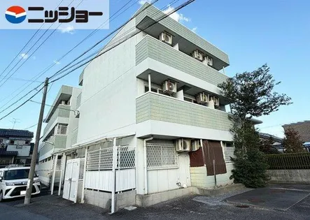 アンジェリークの画像