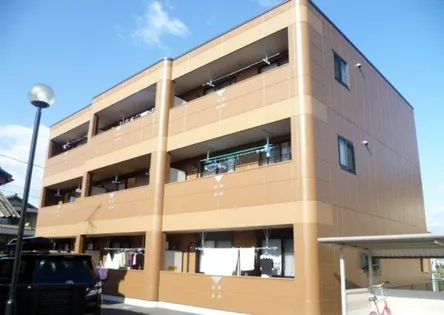 パピヨンの画像