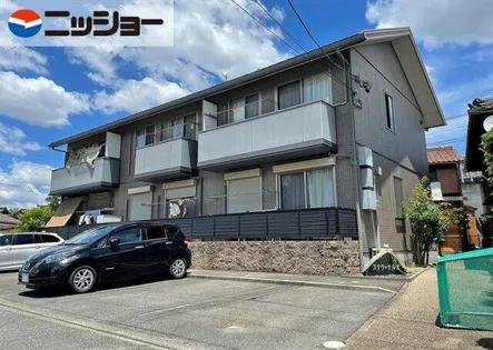 ステラ ナルオの画像