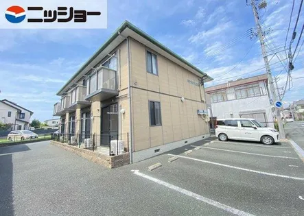 ミナミタウンスギの画像