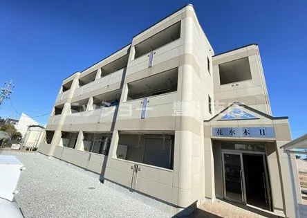 花水木 IIの画像