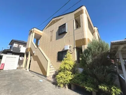 マーガレットの画像