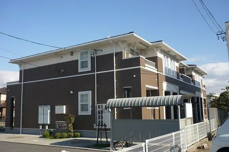 ファイン シーダーの画像