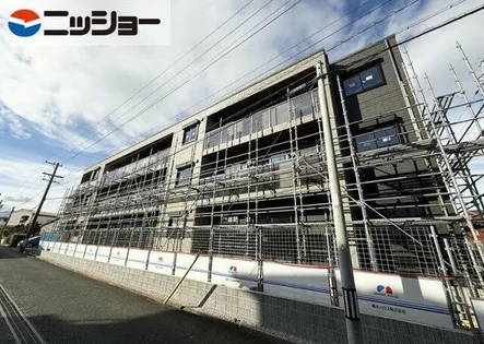 アルフラット オリーブの画像