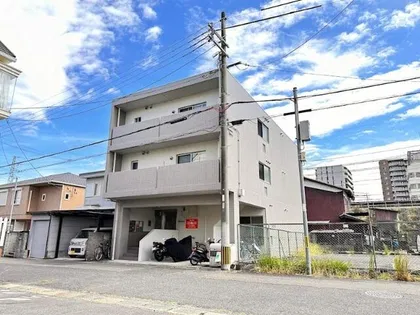 PARADISOの画像