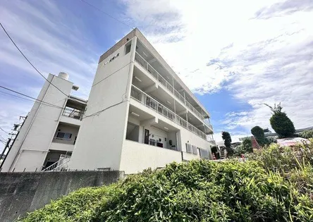 サン大将ヶ根の画像