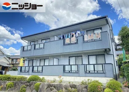ヴィーダ 41の画像