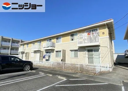 シャインダイワBの画像